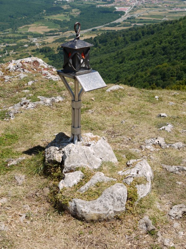 Buzoia