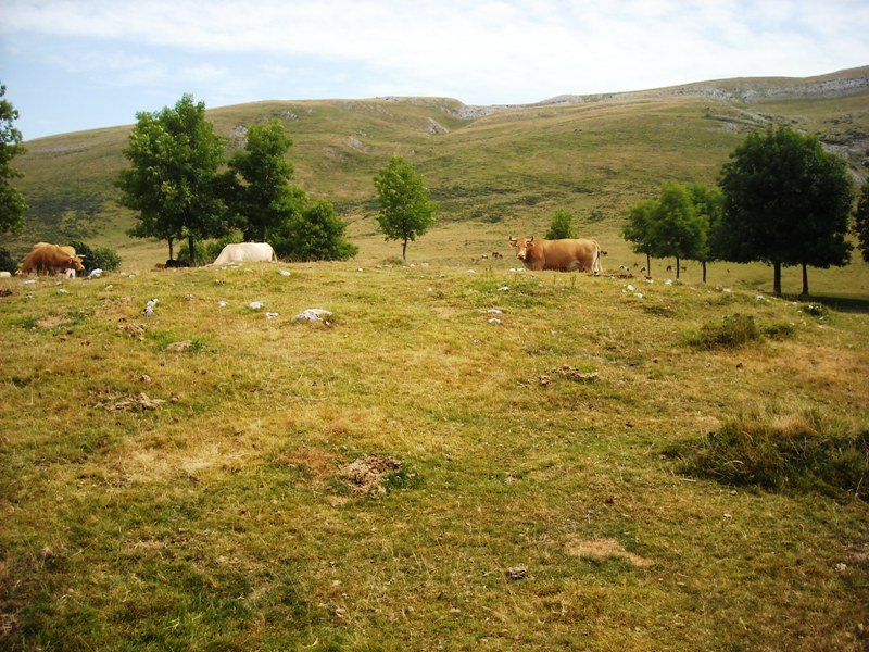 Gorostiaran ekialde
