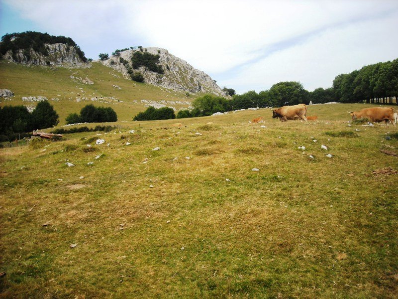Gorostiaran ekialde