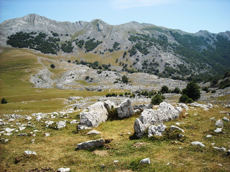 Kalparmuñobarrena