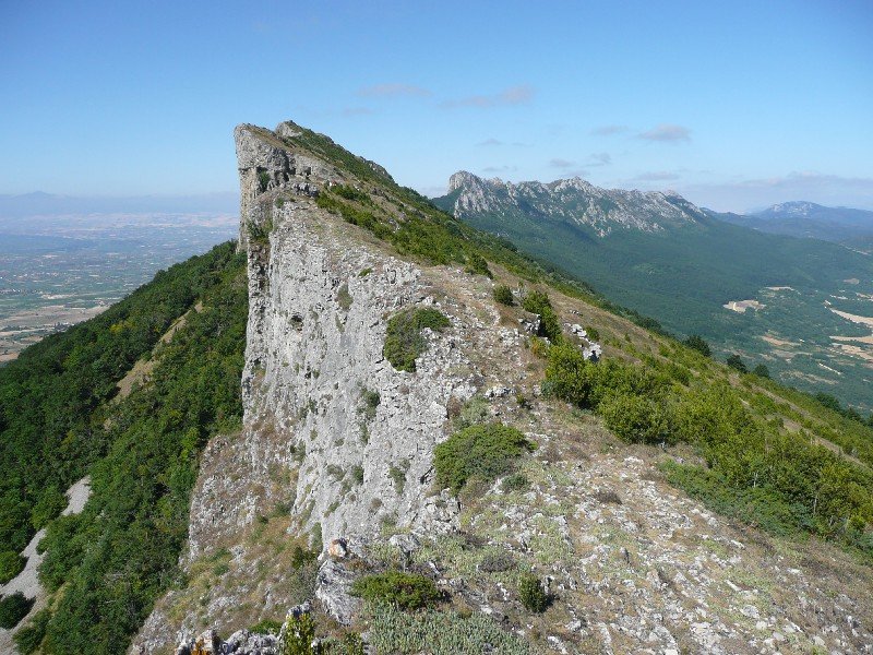 Tontorra