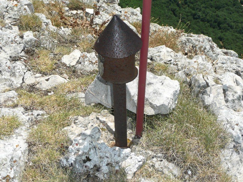 Buzoia