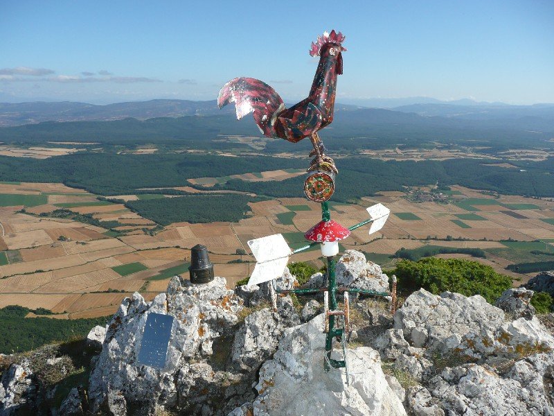 Buzoia