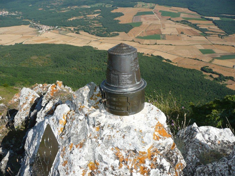 Buzoia