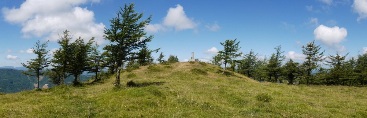 Tontorra