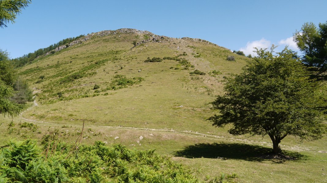 Hegoaldeko bizkarra