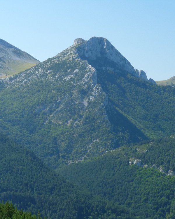 Ezkaurretxikia