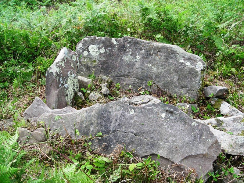 Landarbaso  I