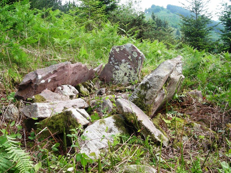 Landarbaso  I