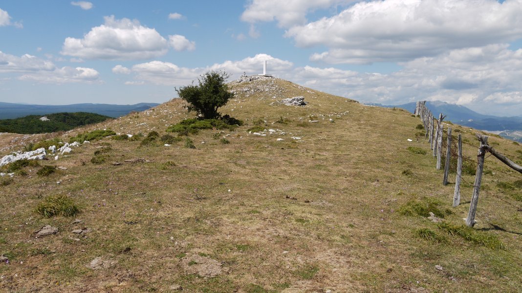 Tontorra