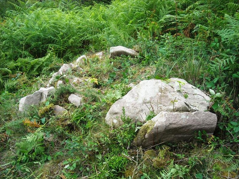 Landarbaso IV