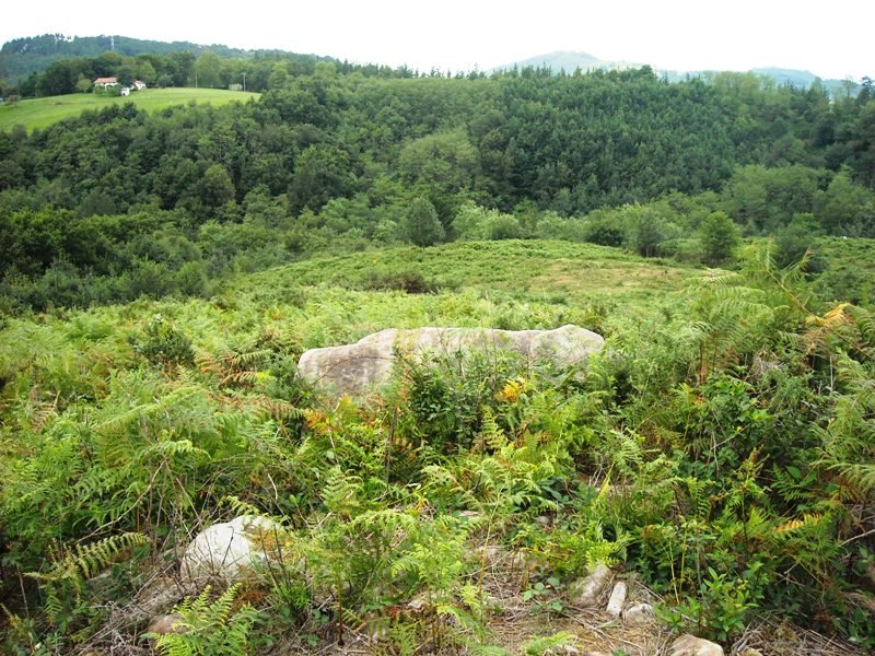 Landarbaso V