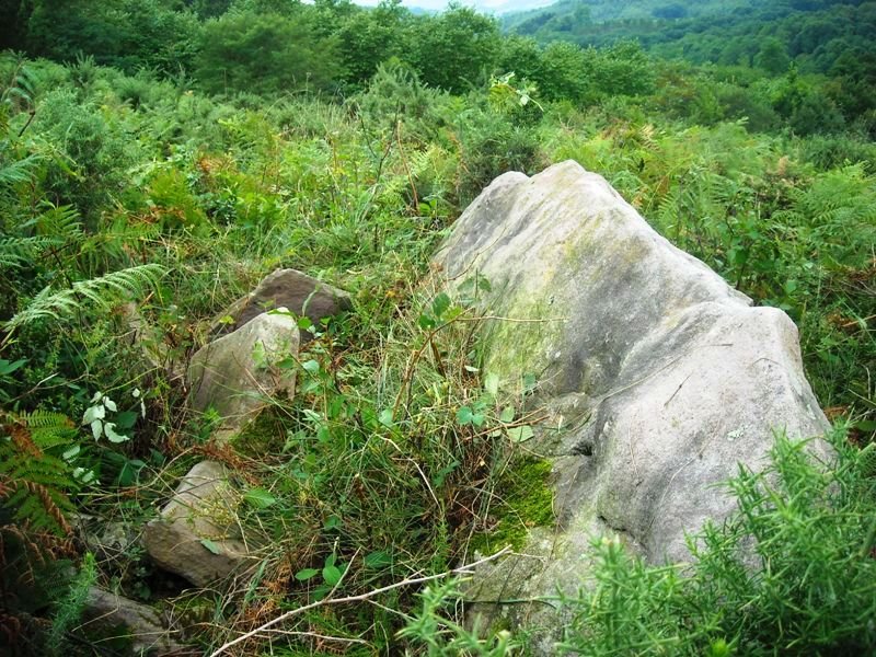 Landarbaso V