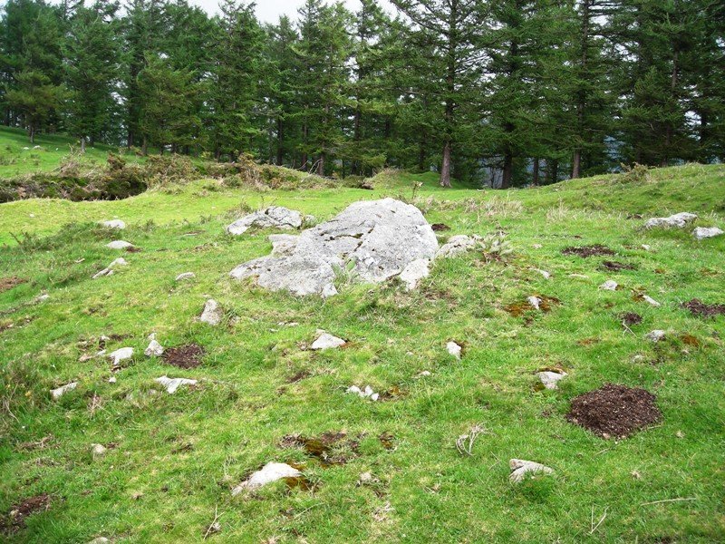 Agiña