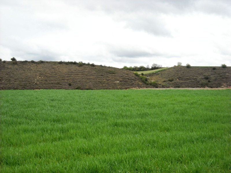 Sotoaldea