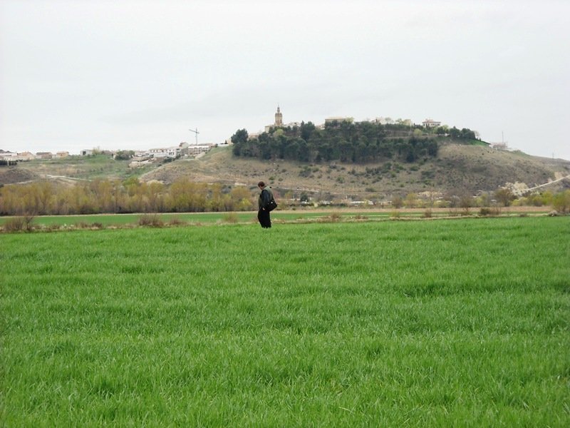 Sotoaldea