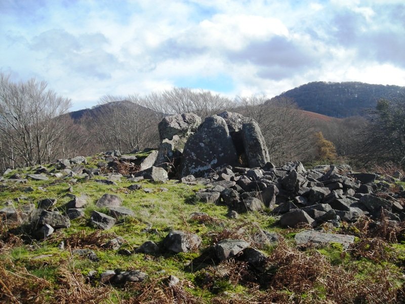 Lamizilo