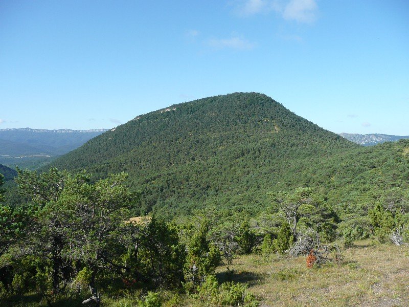 Rodil