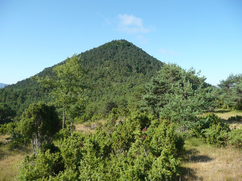 Rodil