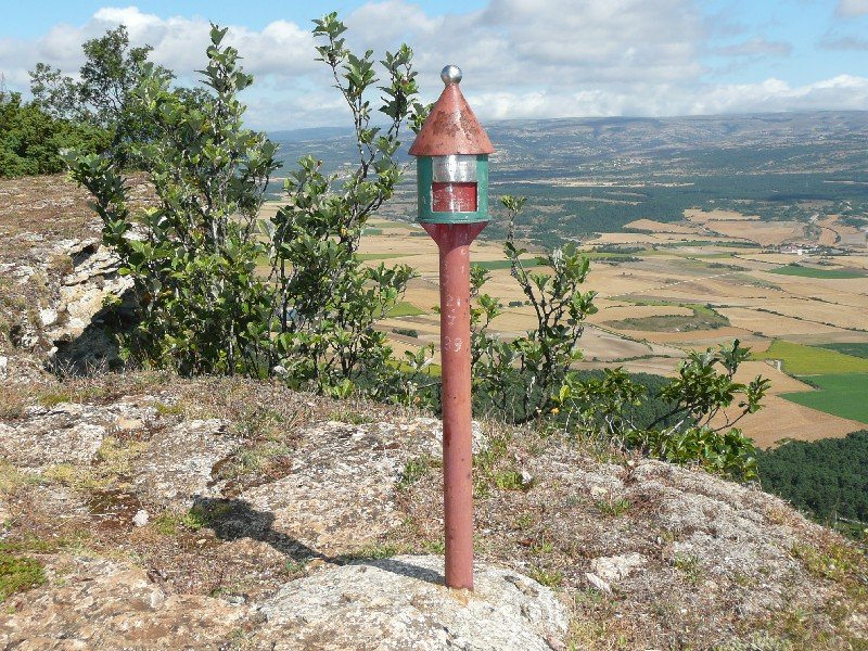 Buzoia