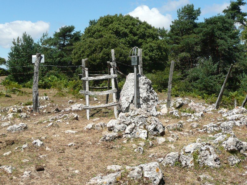 Tontorra