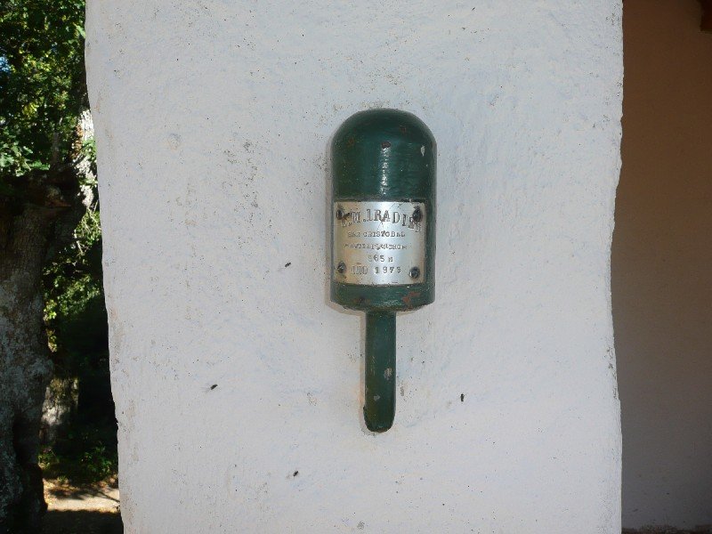 Buzoia