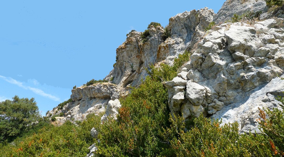 Berrondoko hormak