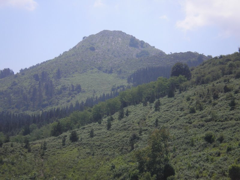 Gantzorrotz