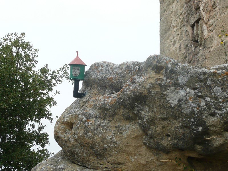Buzoia