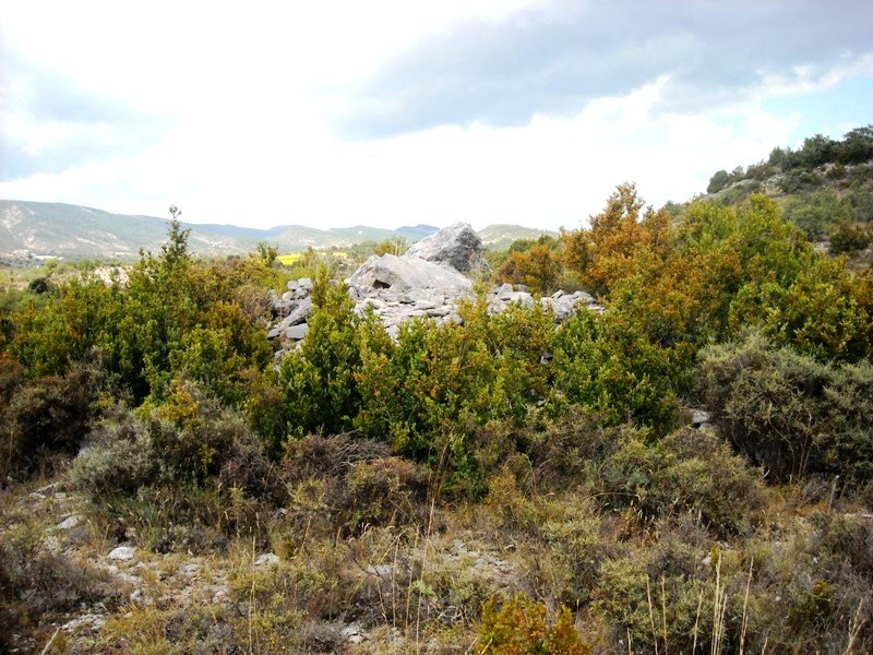 Pueyoril