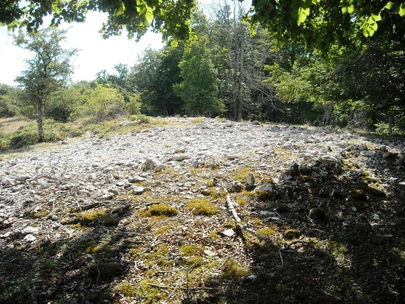 Bardoiza  2