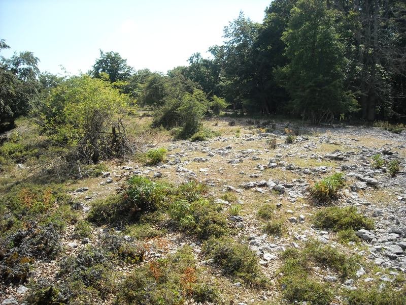 Bardoiza  3