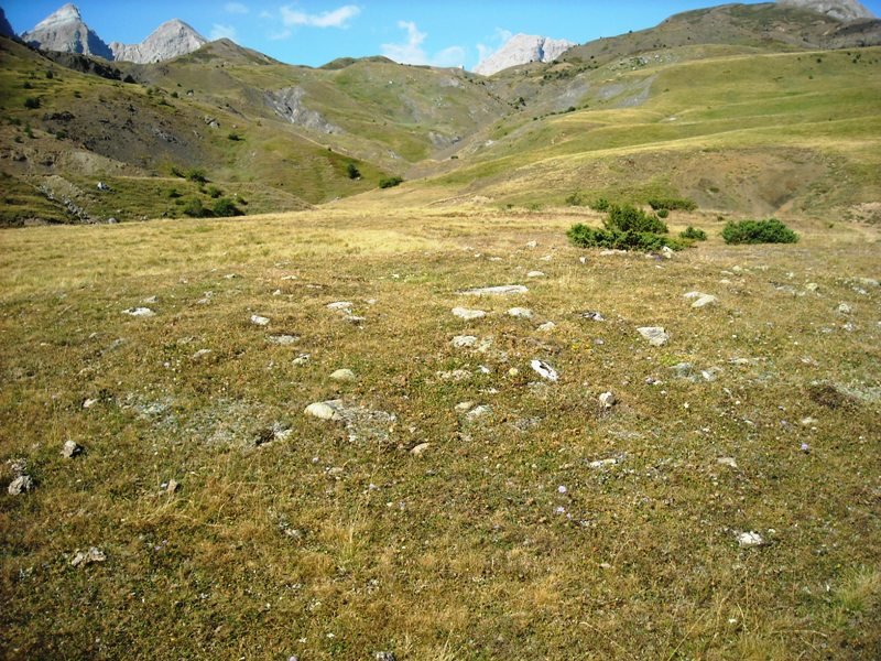 Lordeci 