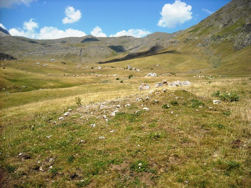 Carrusco