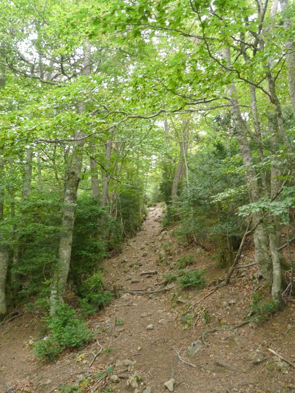 Burruxulaingo bidea