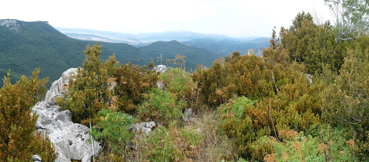 Errasako gailurra