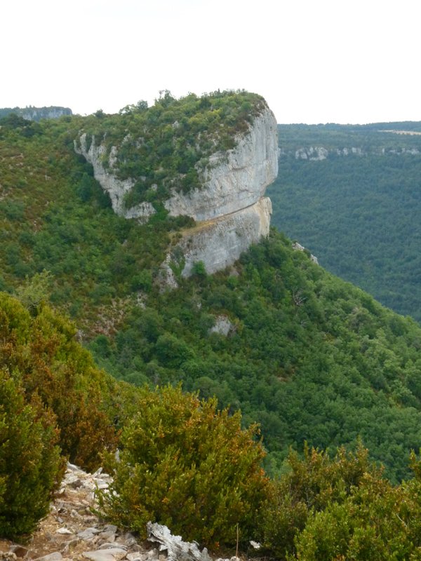 Errasa