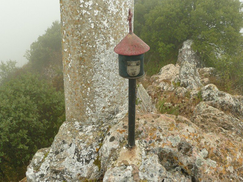 Buzoia