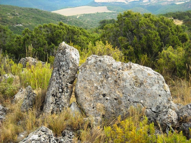 Piedrafita