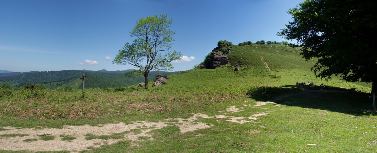 Miateko lepoa