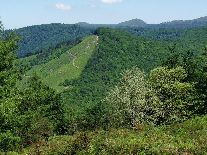 Irubagoeta 