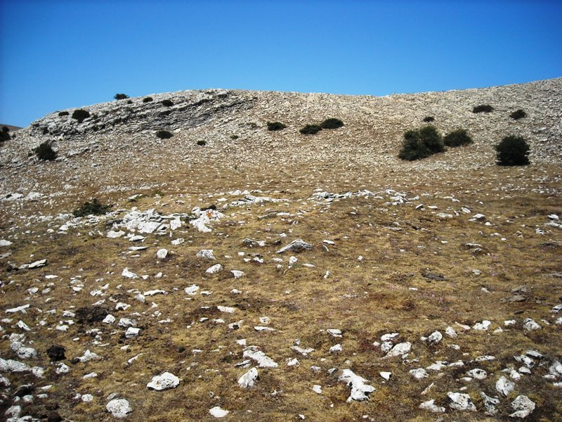 Trekua Goñi