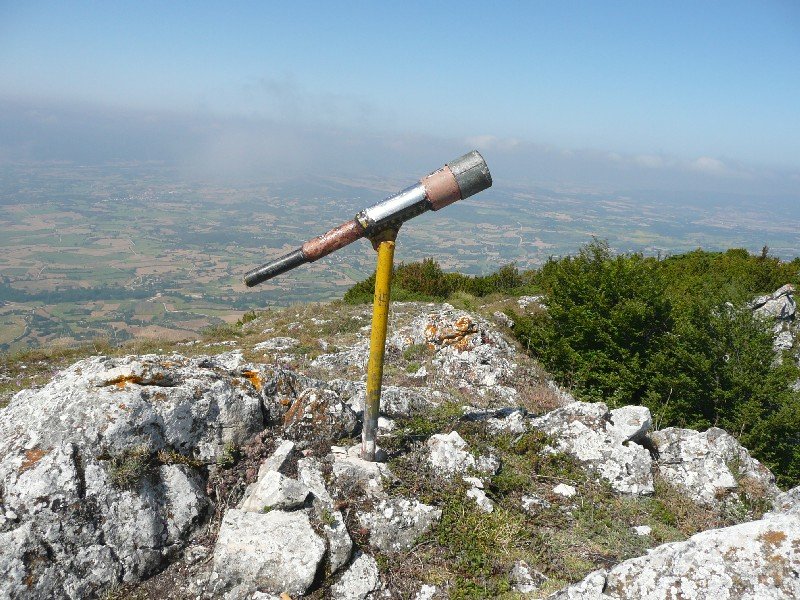 Buzoia