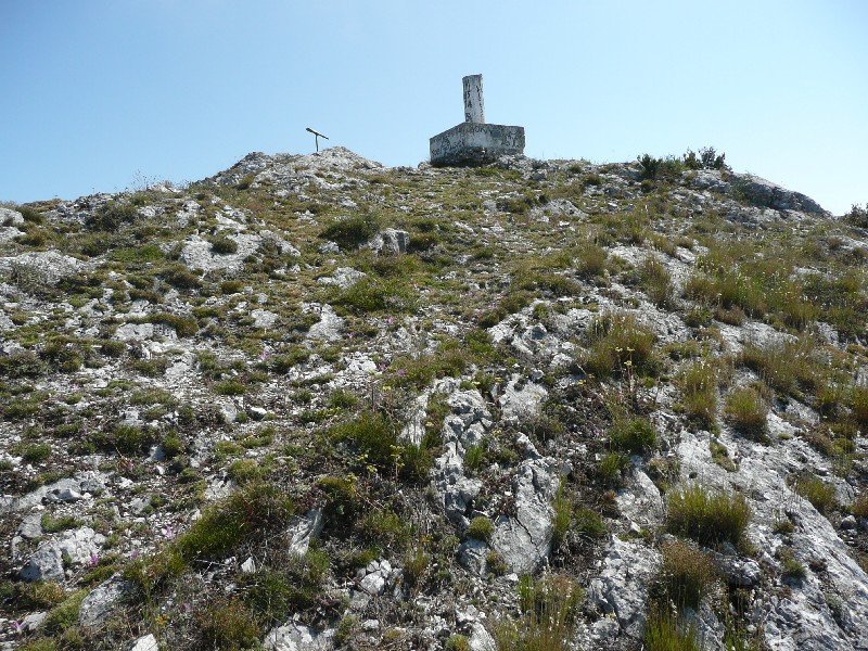 Tontorra