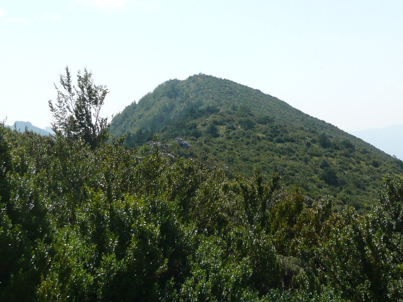 Revillallanos