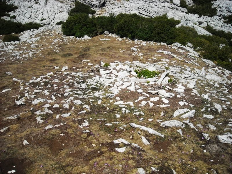 El Vínculo