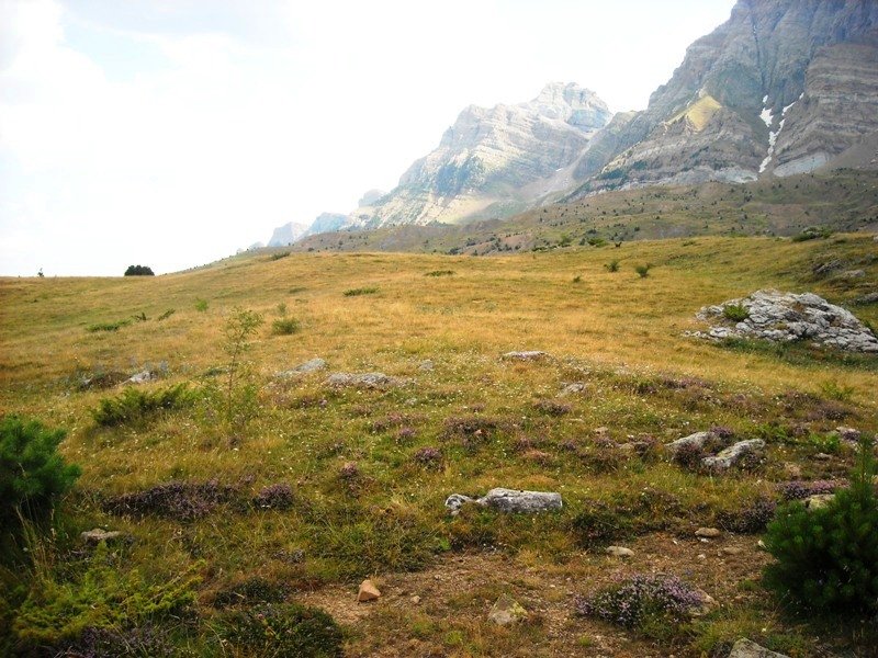 La Paúl