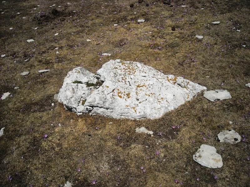 Beorzulo