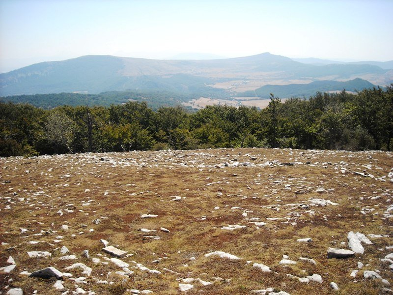 Borderre