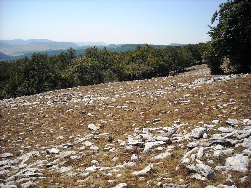 Borderre